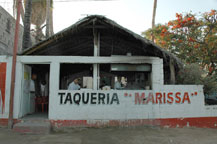 tacos (taqueria) marissa cabo san lucas los cabos