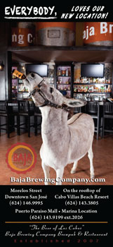 Baja Brewing Company - Ad Proofs - Los Cabos Magazine #29 - Cabo San Lucas, Los Cabos