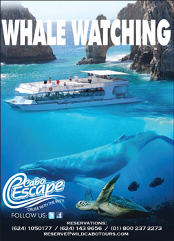 Cabo Escape/ Cabo Legend - Ad Proofs - Los Cabos Magazine 26 - Cabo San Lucas