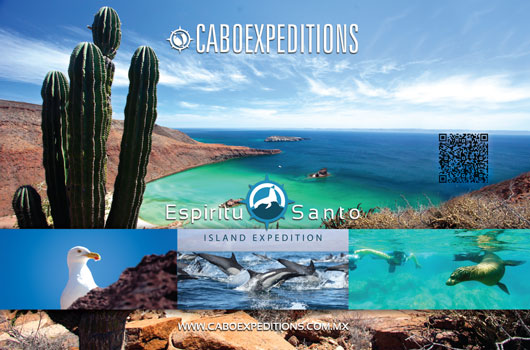Cabo Expeditions - Ad Proofs - Los Cabos Magazine #33 - Cabo San Lucas, Los Cabos
